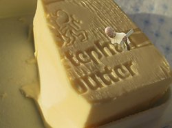 sofort grossklicksen