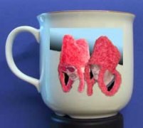 Model Könichliche Garde